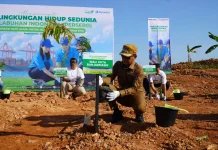 Dari Gunungan Sampah menuju Hutan Kota, Ribuan Pohon Hijaukan TPA Basirih