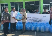 Dorong Perekonomian Warga, DKP3 Tabalong Distribusi Benih Ikan Lele