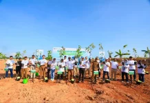 Pelindo Tanam 2.500 Pohon di Banjarmasin