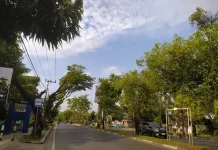 BMKG: Kalsel Hari ini Cerah hingga Cerah Berawan