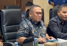 PLN Kalselteng Ungkap Gangguan Enam Pembangkit Listrik Swasta