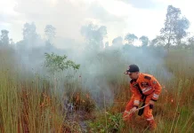 Curah Hujan Menurun, Pemprov Kalsel Tingkatkan Kesiapsiagaan Karhutla