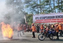 Kalsel Tetapkan Siaga Darurat Karhutla