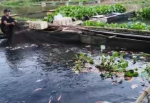 DKPP Banjar Pantau Keramba Jala Apung Waspadai Dampak Kemarau