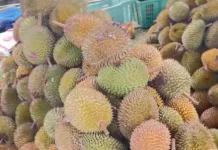 Panen Raya,Buah Durian Banjiri Kota Banjarmasin