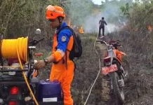 BPBD Kalsel Tangani Dua Titik Karhutla di Banjarbaru