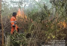 TRC BPBD Kalsel Padamkan Tiga Titik Karhutla di Banjarbaru