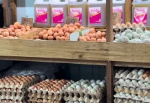 Harga Telur Ayam Diprediksi Kembali Stabil, Angka Segera Bergerak Naik