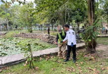 Kado 500 Tahun Banjarmasin! RTH Kamboja Disulap Jadi Alun-Alun Kota