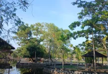 BMKG: Kalsel Hari ini Cerah hingga Cerah Berawan
