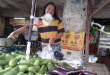 Pasokan Berkurang, Harga Terong Ungu di Banjarmasin Melonjak
