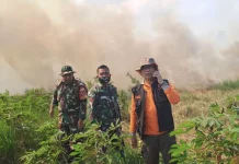 Karhutla Capai 17 Kejadian, Banjar Berlakukan Siaga Darurat hingga September