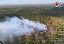 BPBD Kalsel Catat Ratusan Kejadian Karhutla, Operasi Darat dan Udara Diperkuat