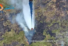 Tiga Helikopter Water Bombing Dikerahkan Tangani Karhutla Kalsel