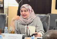 Komisi IV DPRD Kalsel Bahas Anggaran DPPPAKB Fokus Perlindungan Korban