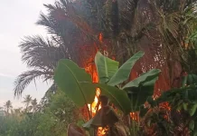 Kebakaran Lahan Marak di Banjarmasin, Warga Khawatirkan Api Dekat Permukiman