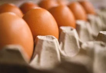 Mencuci Telur sebelum Disimpan ternyata Tidak Dianjurkan, Ini Alasanya