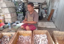 Harga Ikan Laut di Pasar Tradisional Banjarmasin Mulai Naik