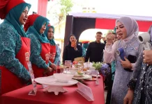 TP PKK Kalsel Gencarkan Cegah Stunting lewat Inovasi MPASI Pangan Lokal