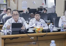 BKD Kalsel Siapkan 250 Formasi CPNS, Tunggu Regulasi Pemerintah Pusat