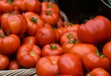 Tomat Baik untuk Kesehatan Prostat, Ini Penjelasan Kemenkes