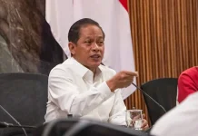 Kalsel Proyek Strategis Nasional, Potensi Swasembada Pangan Capai 1,1 Juta Ton