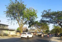Kalsel Hari ini Umumnya Cerah Berawan