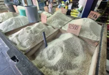 Cadangan Pangan di Balangan Aman, Stok Beras Capai 117 Ton