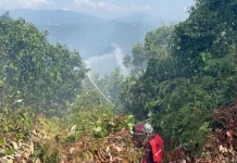 Karhutla Mengancam, Wisata Tahura Sultan Adam Ditutup