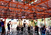 Hobi Burung Gerakkan Ekonomi Banjarmasin