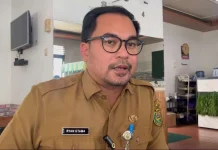 Dugaan Pelecehan di SDN Teluk Dalam 3 Diusut, Disdik Panggil Guru dan Kepala Sekolah