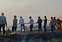 Gubernur H. Muhidin Bersama Forkopimda Turun Padamkan Api Karhutla