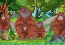 Hari Orangutan Sedunia, Kenali 6 Fakta Menarik