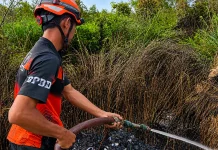 Banjarmasin Catat 27 Kebakaran Lahan, Warga Diminta Waspada