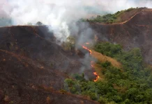 Tips Lindungi Kesehatan dari Kabut Asap Karhutla