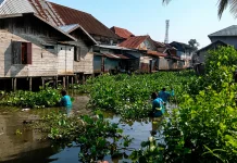 Penanganan Sampah Kiriman Hulu Masih Nihil! Sungai Masih Dibersihkan Manual
