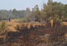 Karhutla di Puntik Dalam Meluas, Bangunan Kosong Ikut Terbakar