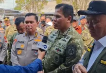 Pemerintah Pusat Turun Tinjau Karhutla di Kalsel
