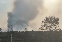 Delapan Kabupaten/Kota di Kalsel Tetapkan Siaga Darurat Karhutla
