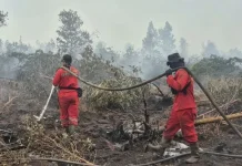 Antisipasi Puncak Kemarau Kalsel, Menhut Ingatkan Ancaman Krisis Air