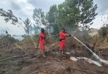 Karhutla Dekati Perumahan di Banjarbaru, Warga Mengungsi dan Siaga Malam
