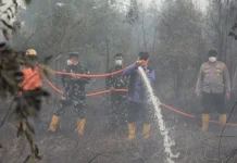 Gubernur Kalsel Perkuat Penanganan Karhutla Kalsel Lintas Sektor