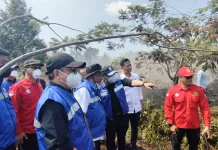 Karhutla Banjarbaru Terkendala Air, Menteri LH Siapkan Sumur Bor