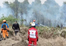 PMI Kalsel Kerahkan Relawan Hadapi Karhutla dan Kabut Asap