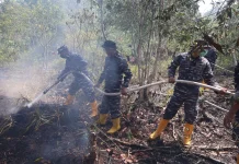 Lanal Banjarmasin Bersama Tim Gabungan Lokalisir Karhutla di Guntung Damar