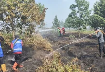 Belasan Perusahaan di Kalsel Terindikasi Kasus Karhutla