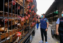Mangkrak sejak 2023, Wali Kota Yamin Desak RPU Modern Segera Dioperasikan