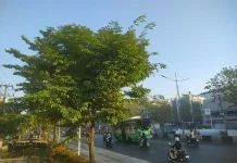 Kalsel Hari ini Cerah hingga Cerah Berawan