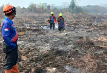 Antisipasi Api Susulan, BPBD Balangan Sisir Titik Rawan