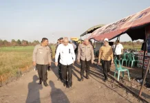 Solusi Karhutla Banjarbaru Sistem Pengairan Gambut Akan Dibuat